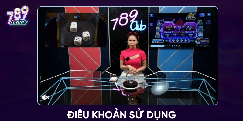 Chi tiết về điều khoản sử dụng của nhà cái 789club